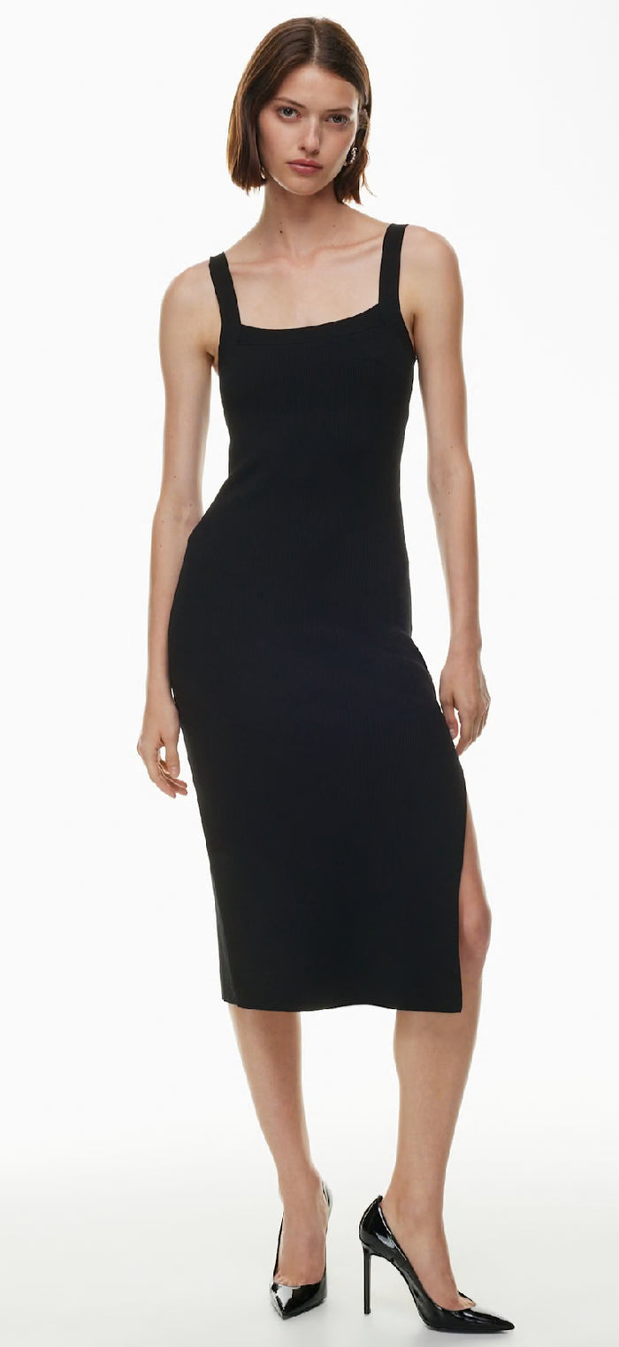 Aritzia Babaton Chase Dress (S)