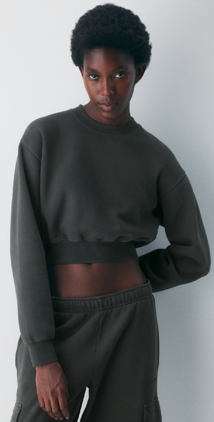 Aritzia TNA Cozyfleece Perfect Cropped Crewneck (S)
