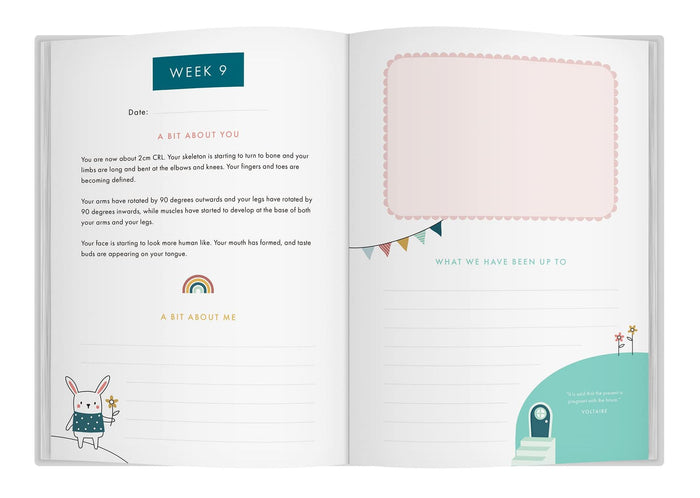 Book - Bump To Birthday: Pregnancy And First Year Journal - Spread 4