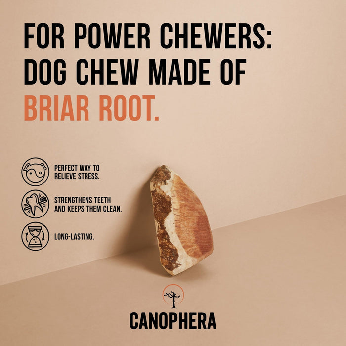 Canophera Briar Wood Root Dog Chews