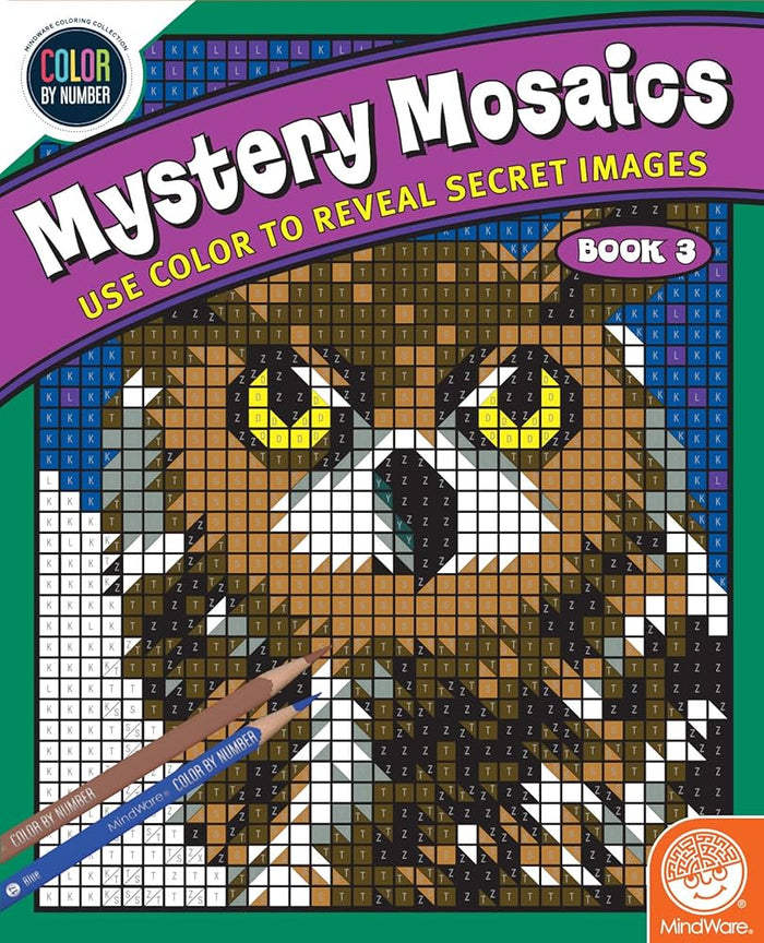 CBN Mystery Mosaics Book 3