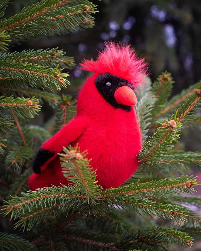 Douglas Toys Carmine Cardinal Plush