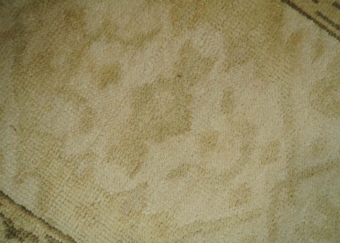 2x3 Hand Knotted Beige and Olive Traditional Persian Oushak Wool Rug | N323 - The Rug Decor