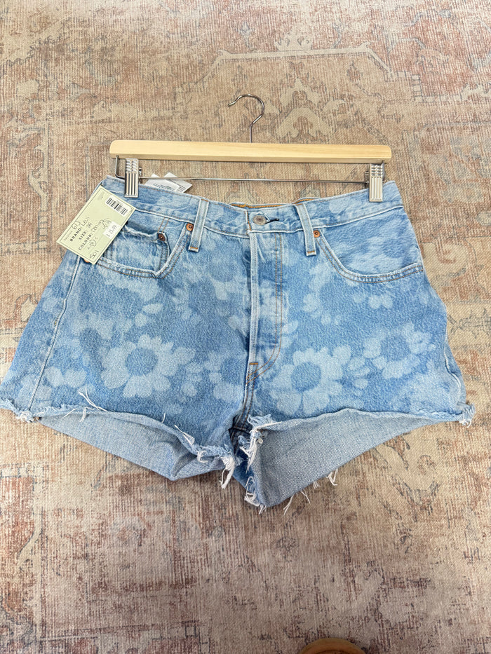 Levi’s 501 Shorts (29)