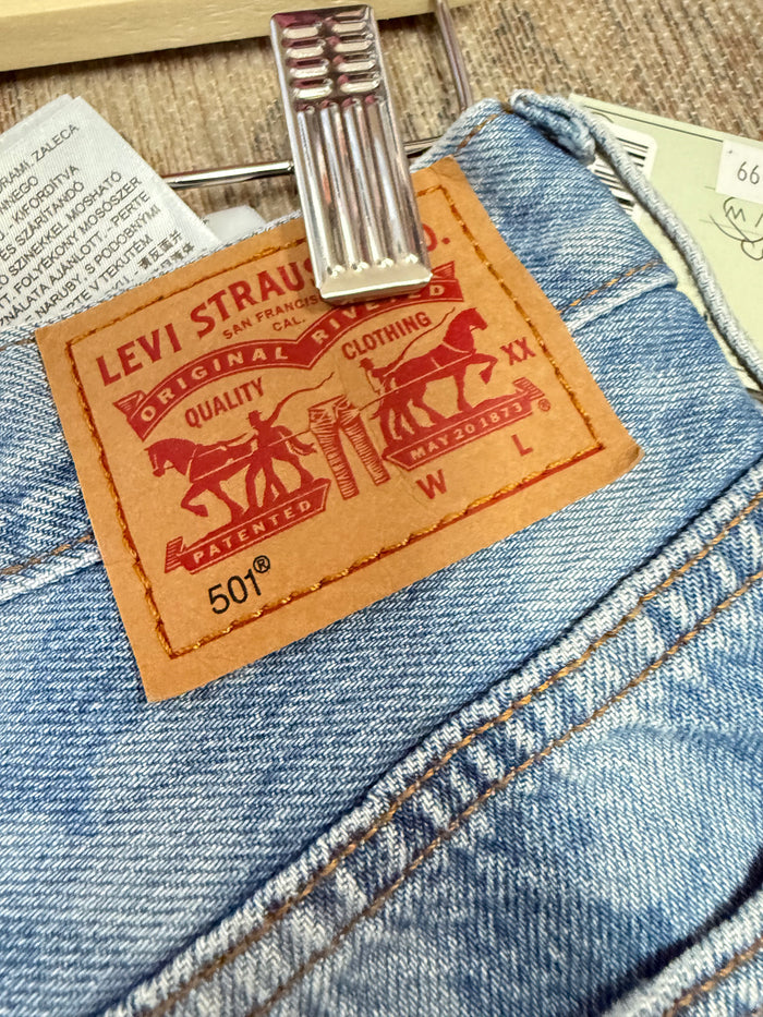 Levi’s 501 Shorts (29)