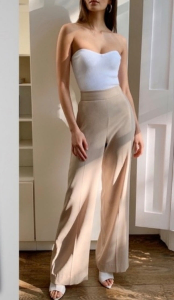 Aritzia Babaton Lincoln Wide Leg HR Pant 34” (8)