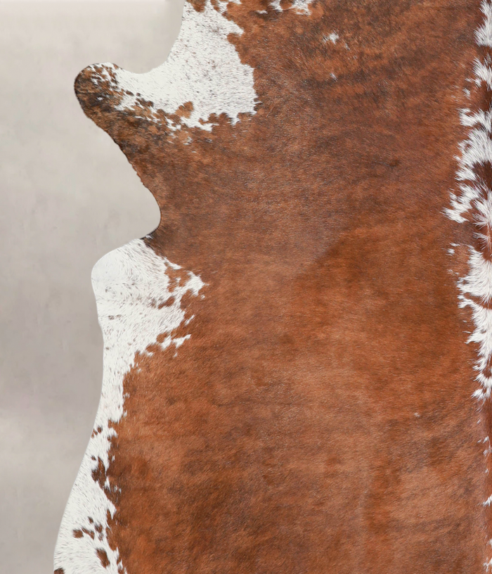 Brown and White Regular Cowhide Rug #A22959