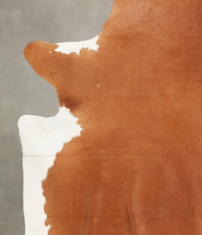 Brown and White Regular Cowhide Rug #B1515