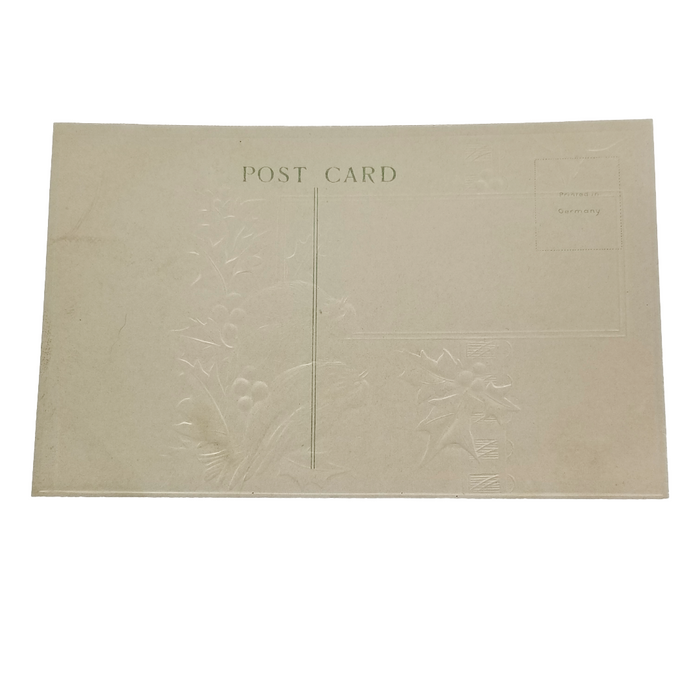 Christmas Postcard Gold Embossed Blue Birds in Winter