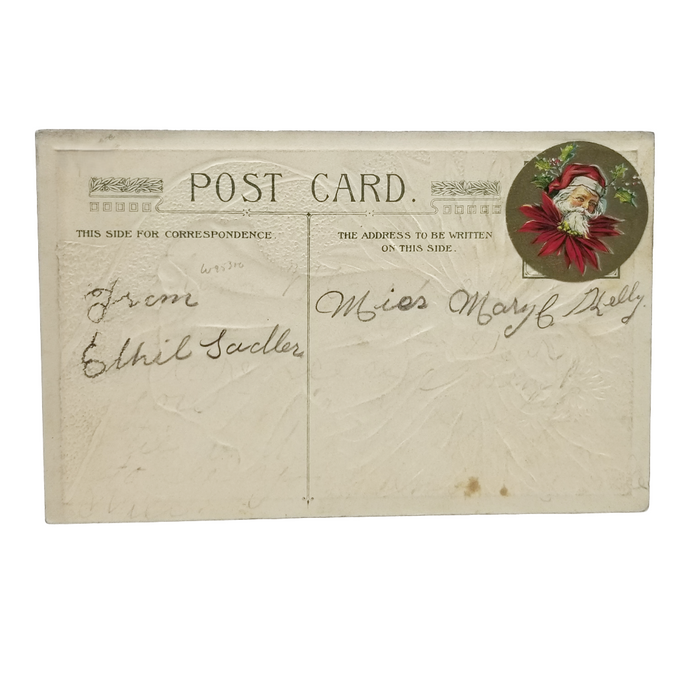 Christmas Postcard Poinsettia Flower Lady Artist Schmucker Winsch Publisher