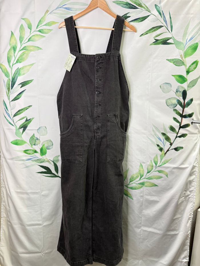 Free People Field Of Flowers Wide Leg Denim Overalls (L)