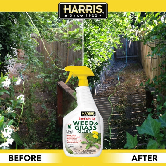 Harris Sea Salt 10X Weed & Grass Killer Spray