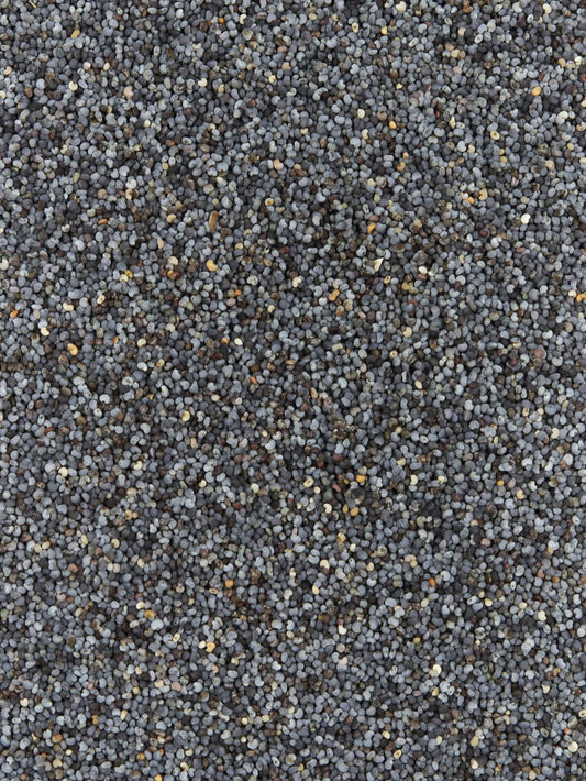 Poppy Seeds