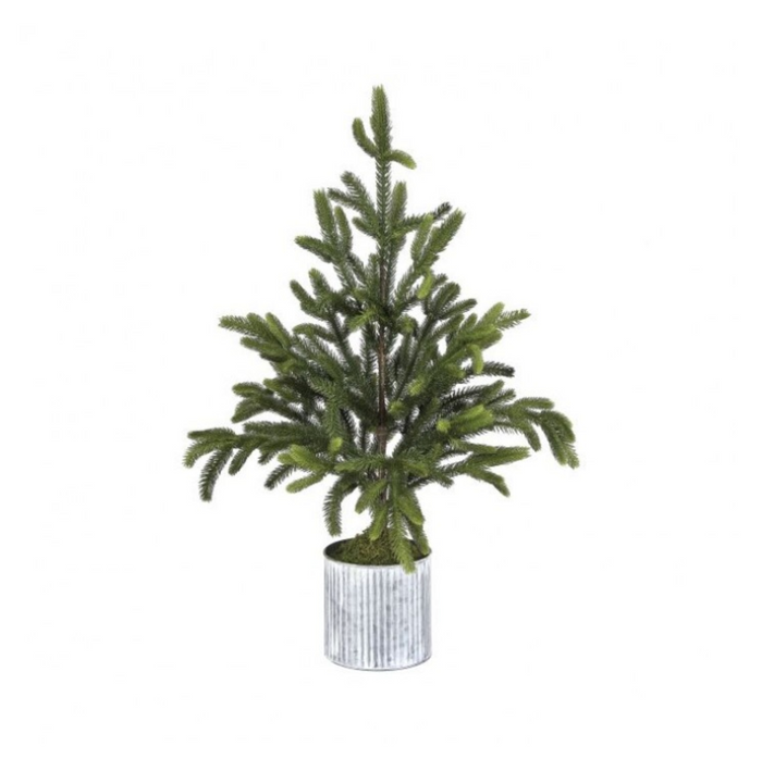 Potted Norway Spruce Tree, 36"
