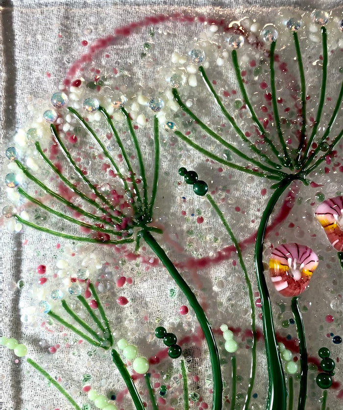 Queen Anne’s Lace