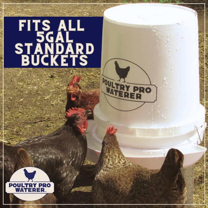 Riverbend Resources Poultry Pro Waterer