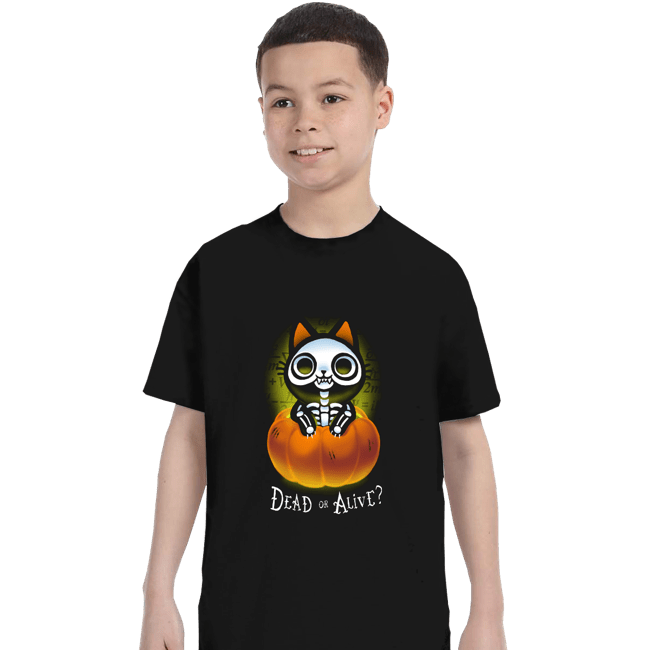 Daily_Deal_Shirts T-Shirts, Youth / XS / Black Schrodinger Halloween