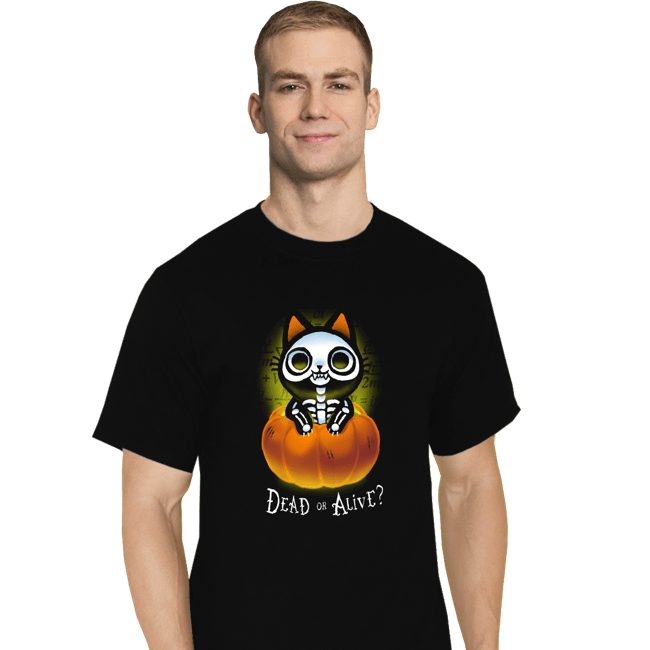 Daily_Deal_Shirts T-Shirts, Tall / Large / Black Schrodinger Halloween