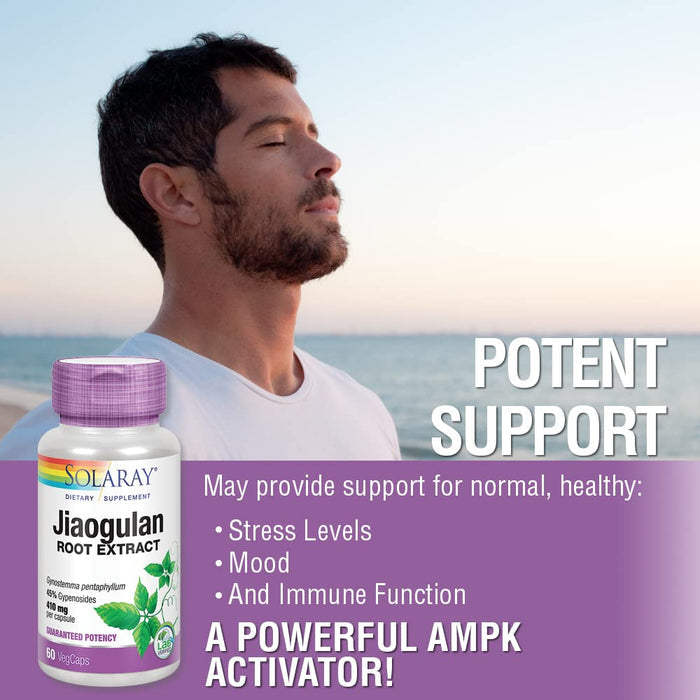 SOLARAY Jiaogulan, 410 mg, 60 VegCaps - The Oasis of Health