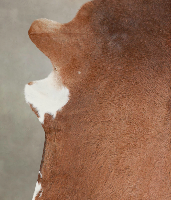 Solid Brown Cowhide Rug #A21997