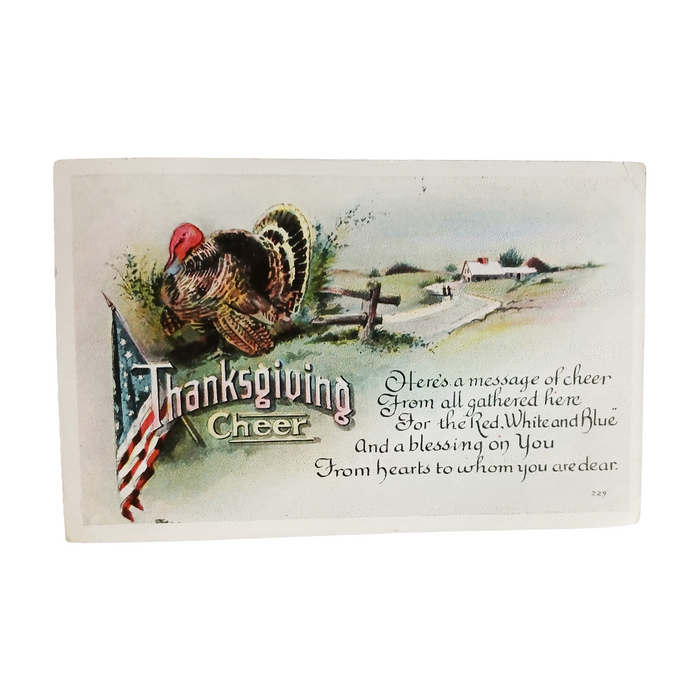 Thanksgiving Patriotic Themed Postcard Turkey with American Flag Series 229
