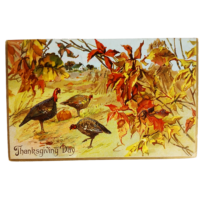 Thanksgiving Postcard Autumn Colors Turkey Family with Chicks Tuck Series 123
