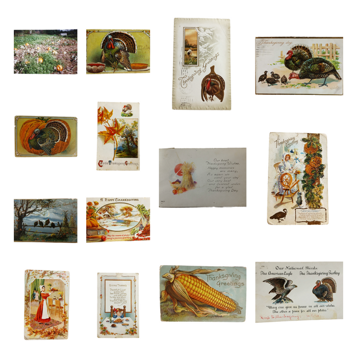 Thanksgiving Postcards Group of Fourteen (14) Cards Clapsaddles, Turkeys, Etc