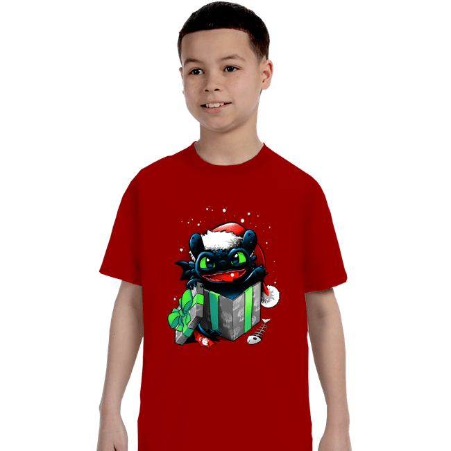 Secret_Shirts T-Shirts, Youth / XS / Red The Christmas Dragon