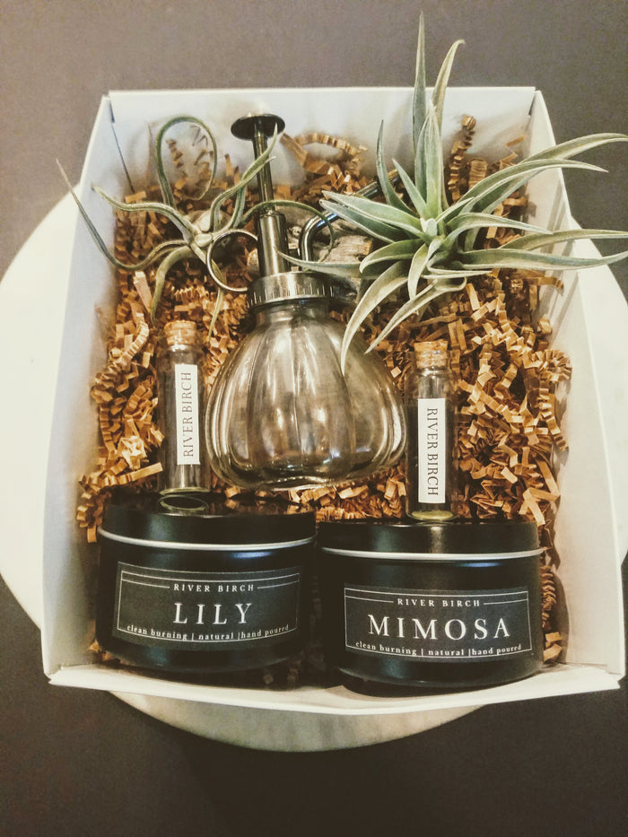 Thinking Of You - Candles & Air Plant Gift Box