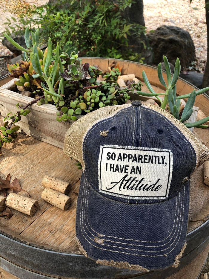 distressed trucker baseball cap