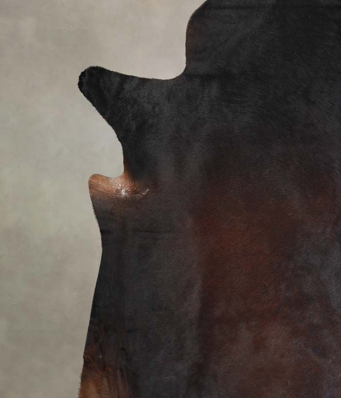 Brown with Red Cowhide Rug #A22017